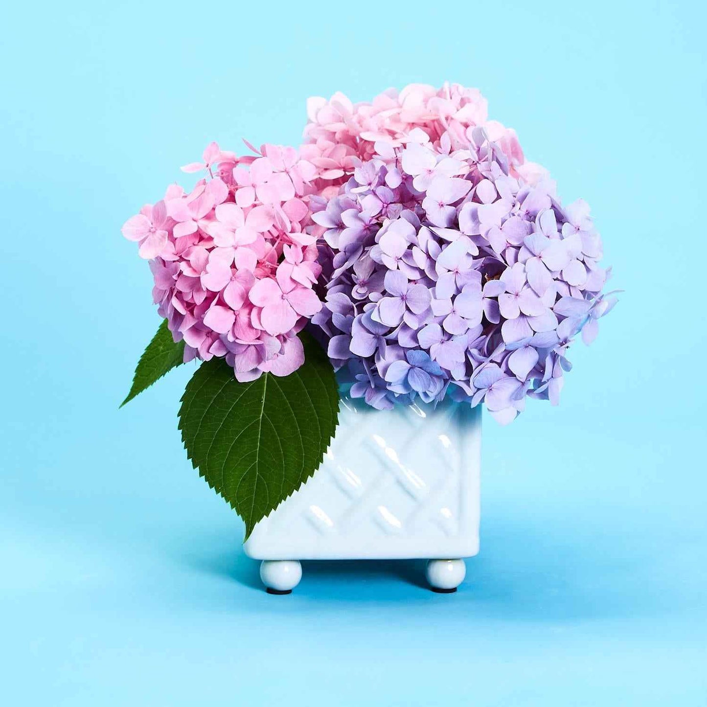 Bamboo Pattern Square Flower Arranger