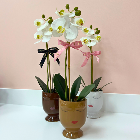 Celfie Face Pot Orchid Planter - Flair Flower Bar & Studio