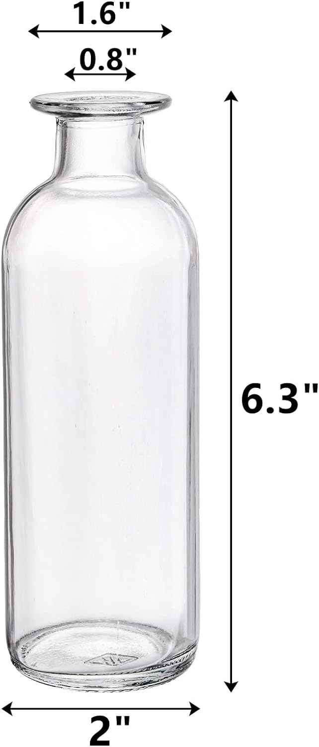 Clear Glass Budvase