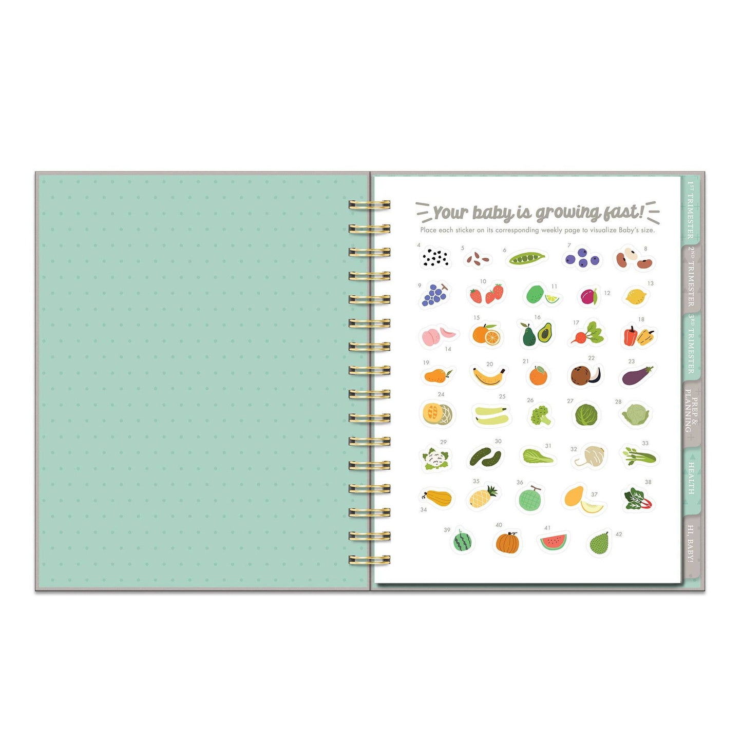 Countdown to Baby Undated Pregnancy Planner - Flair Flower Bar & Studio