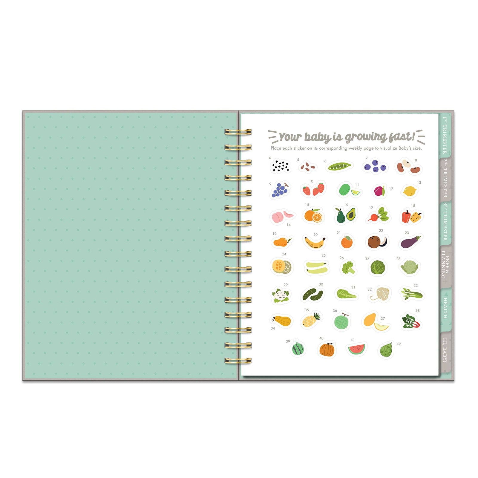 Countdown to Baby Undated Pregnancy Planner - Flair Flower Bar & Studio