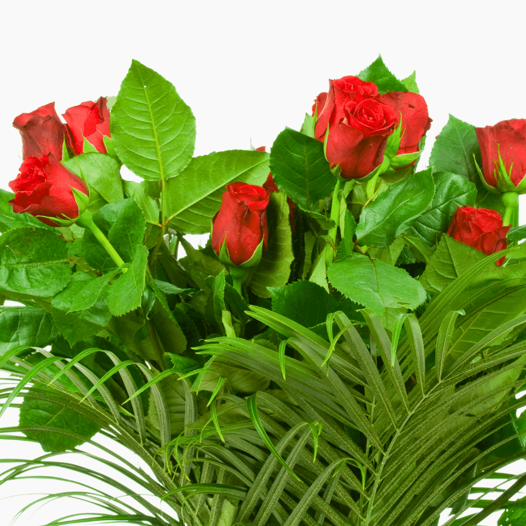 Dozen Rose Vase Arrangement - Flair Flower Bar & Studio