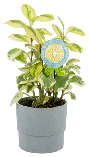 Flower Garden Plant Picks