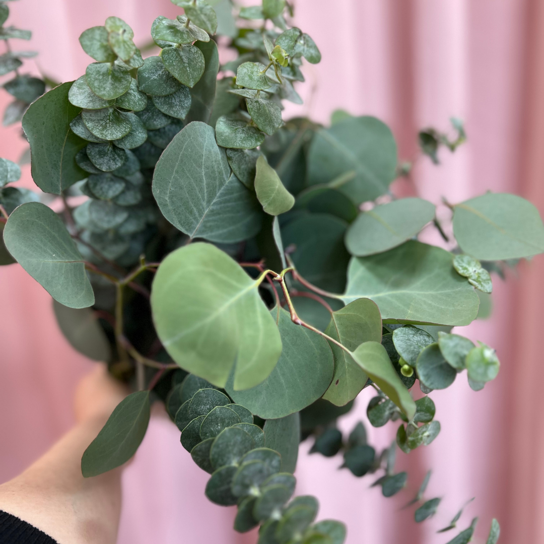 Fresh Eucalyptus Shower Bundle - Flair Flower Bar & Studio