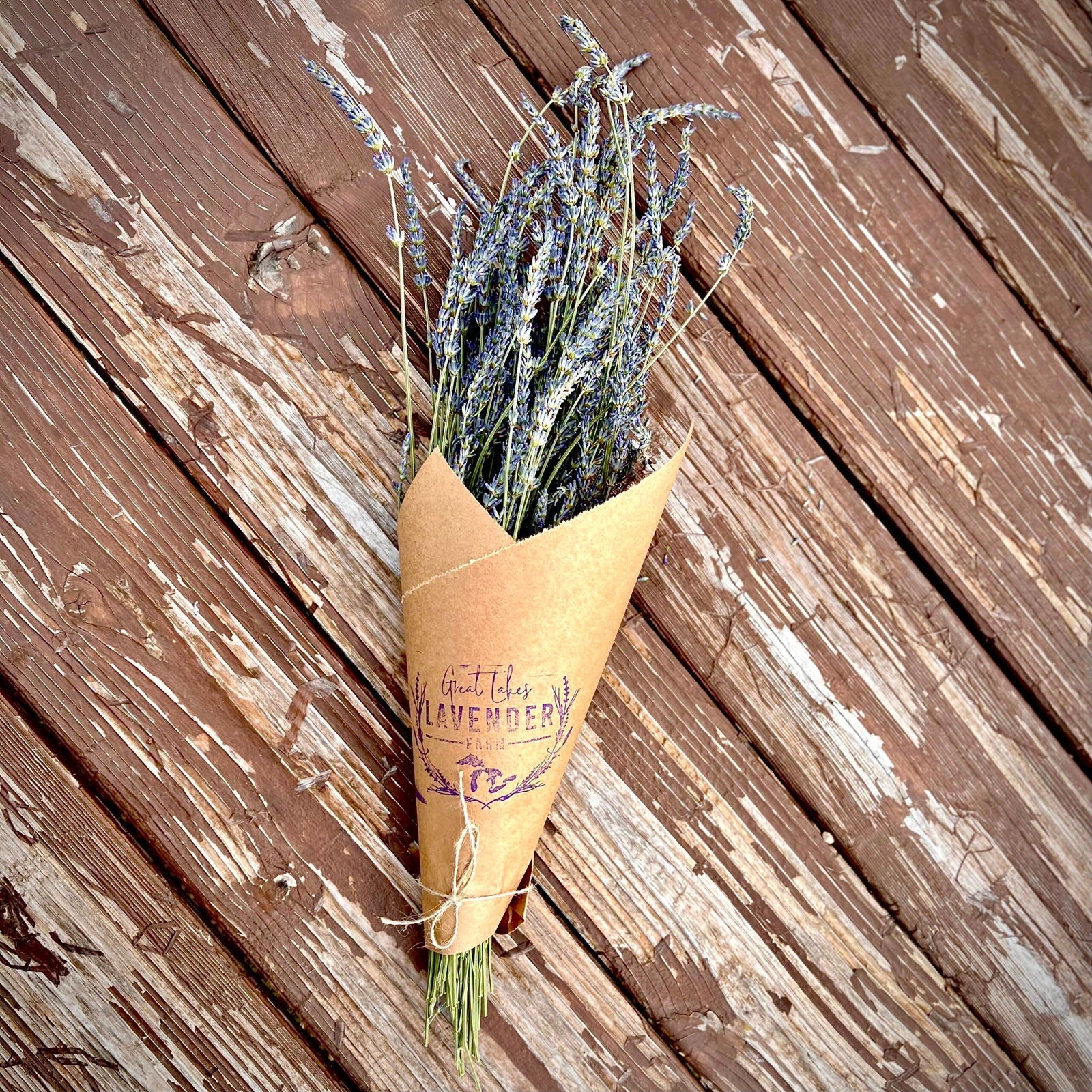 Great Lakes Lavender Farm Dried Lavender Bundle - Flair Flower Bar & Studio