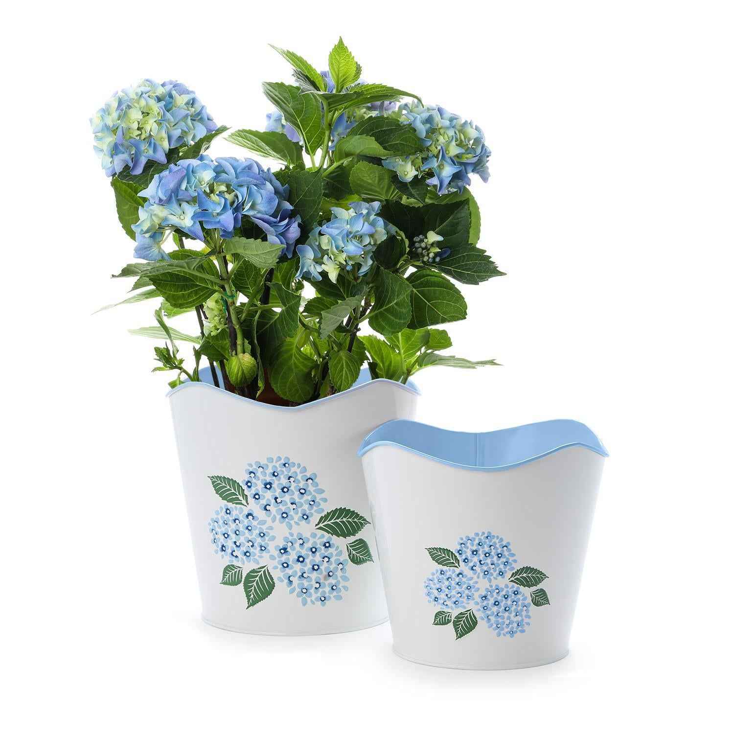 Hydrangea Blue Metal Cachepots – Elegant Indoor Planters