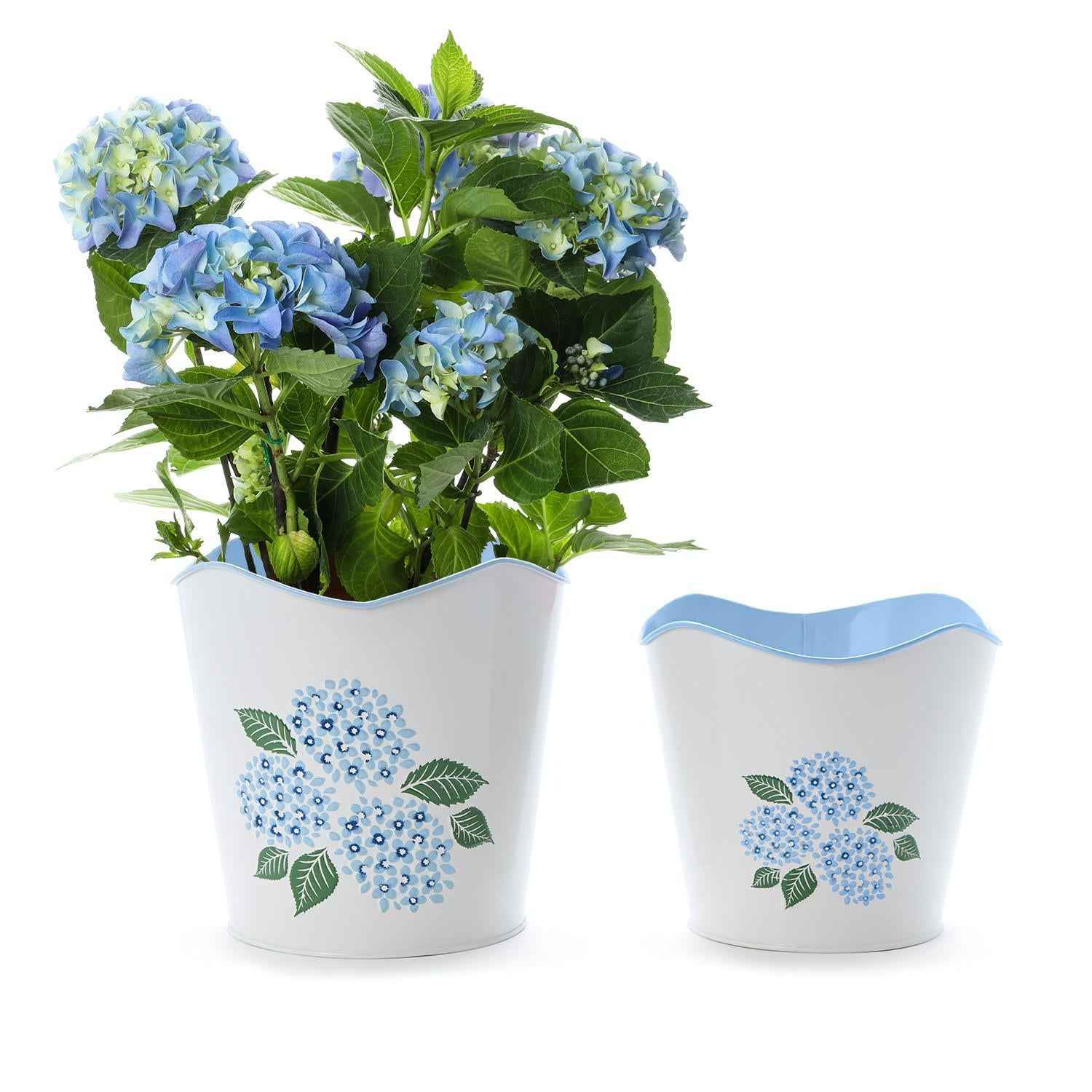 Hydrangea Blue Metal Cachepots – Elegant Indoor Planters