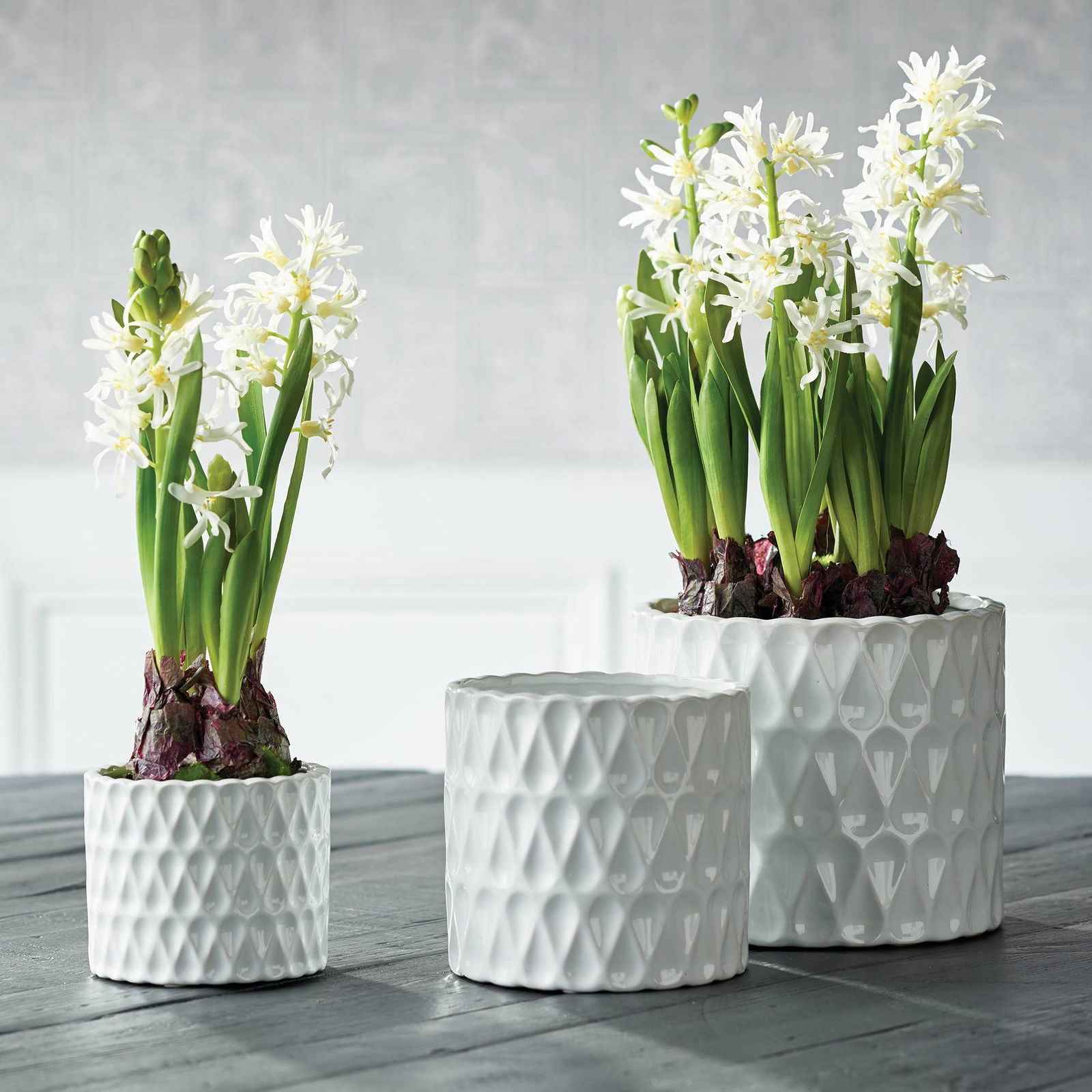 Loopy Pots
