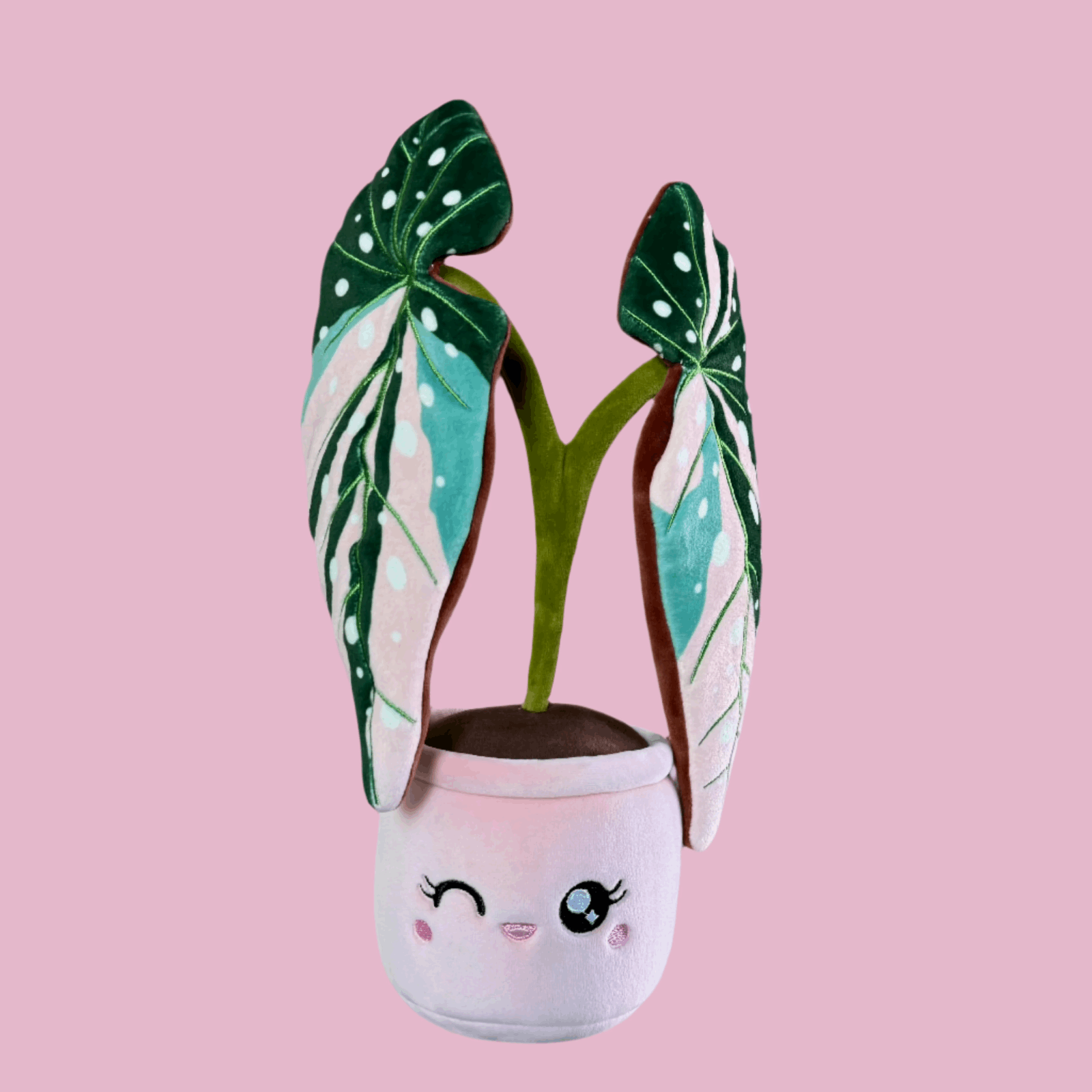 Pink Variegated Begonia Maculata Plushie - Flair Flower Bar & Studio