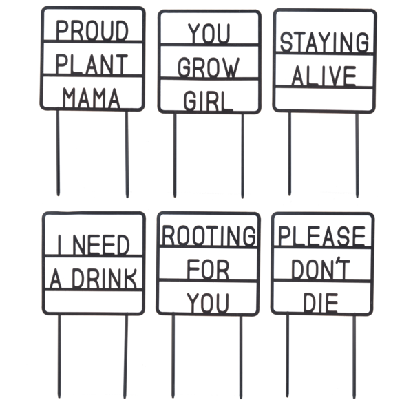 Plant Message Picks - Flair Flower Bar & Studio