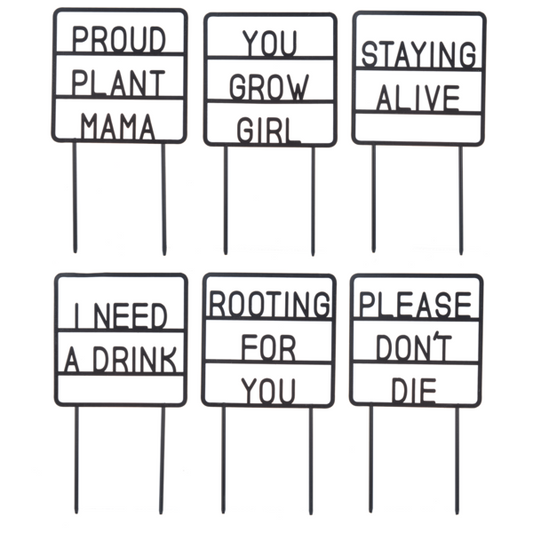 Plant Message Picks - Flair Flower Bar & Studio