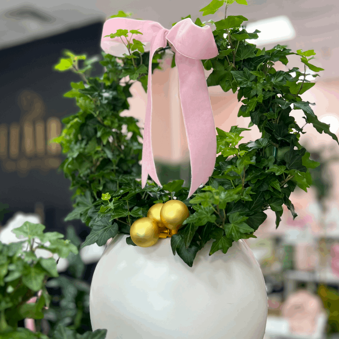 Potted Ivy Ring Wreath - Flair Flower Bar & Studio