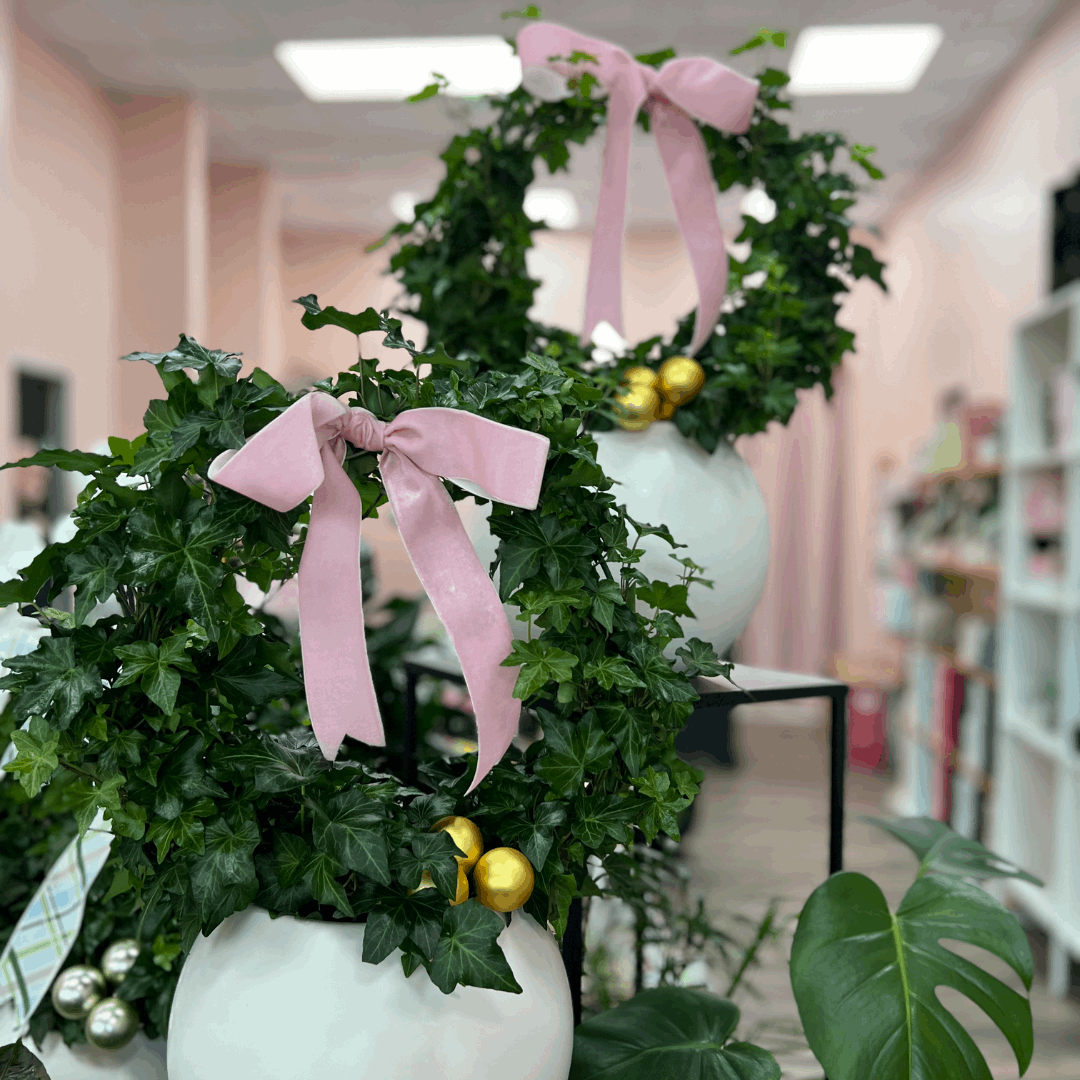 Potted Ivy Ring Wreath - Flair Flower Bar & Studio
