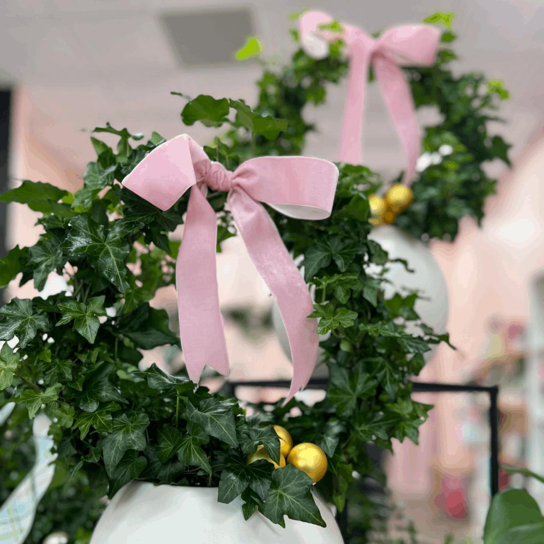 Potted Ivy Ring Wreath - Flair Flower Bar & Studio