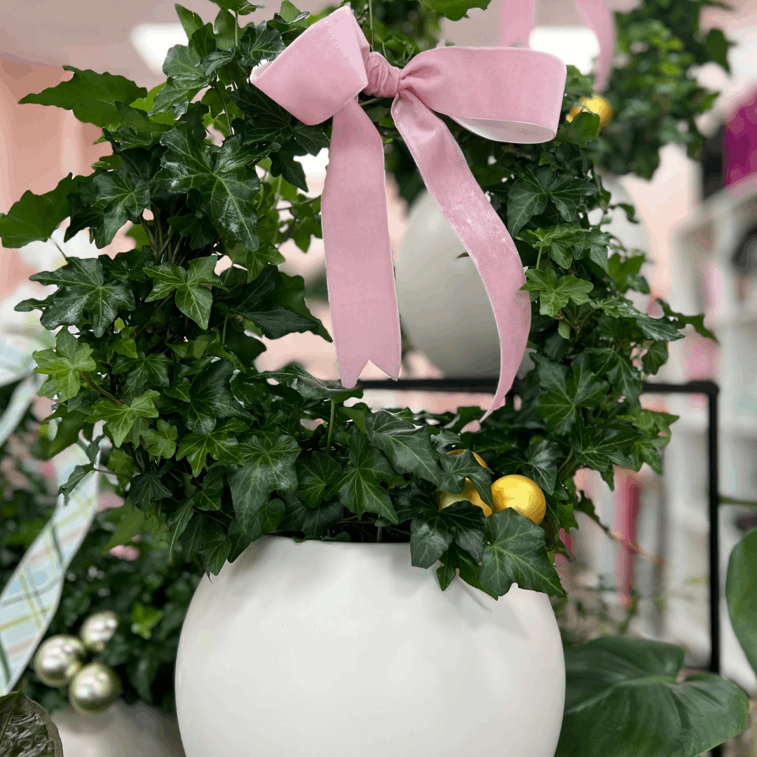 Potted Ivy Ring Wreath - Flair Flower Bar & Studio