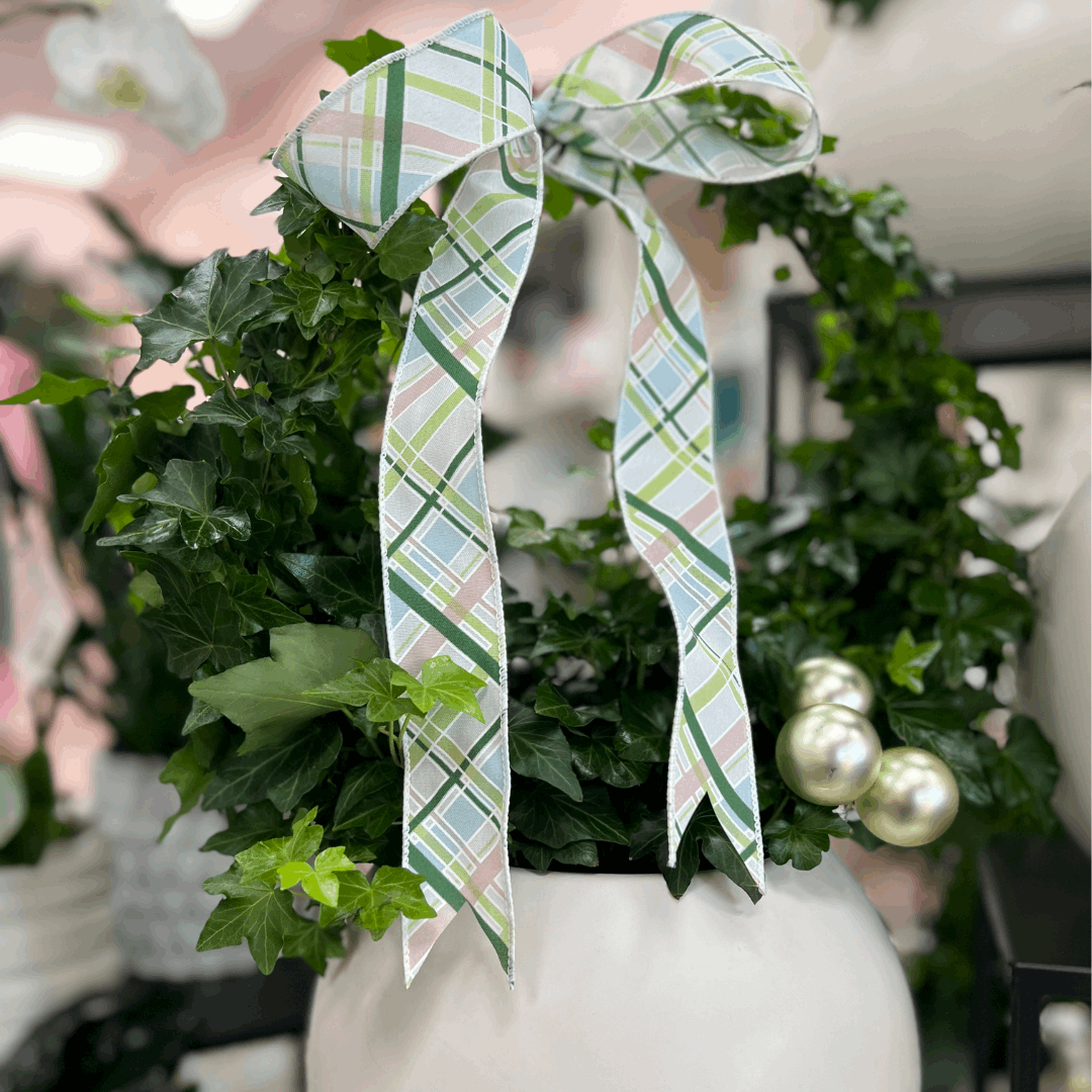 Potted Ivy Ring Wreath - Flair Flower Bar & Studio