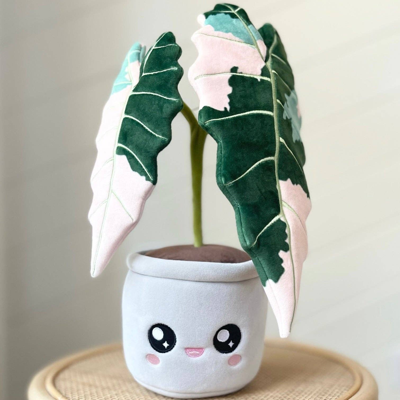 Variegated Alocasia Amazonica Plushie - Flair Flower Bar & Studio
