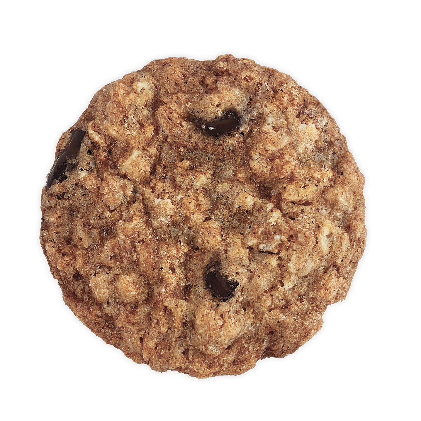 Eleni’s Holiday Oatmeal Chocolate Chip Cookies