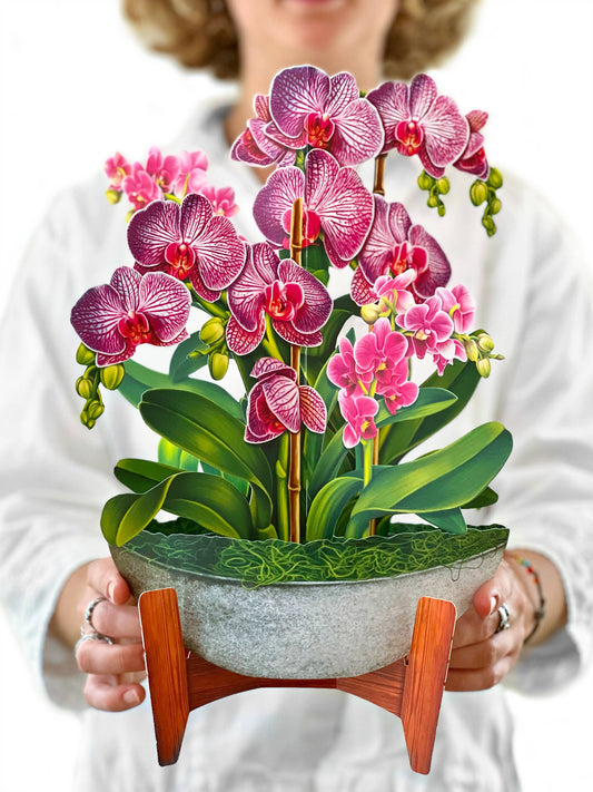 Orchid Oasis by FreshCut Paper LLC