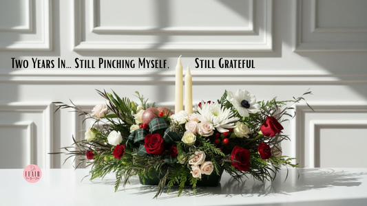 Two Years In… Still Pinching Myself, Still Grateful