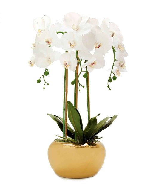 3 Branched White Faux Orchid Plant in Gold Pot