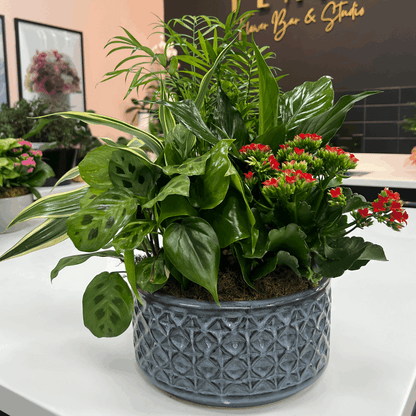 European Ceramic Dish Garden