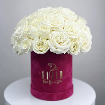 White roses in a velvet pink box - Flair Flower Bar | Cincinnati 