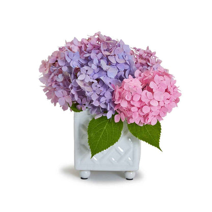 Bamboo Pattern Square Flower Arranger