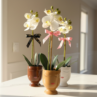 Celfie Face Pot Orchid Planter - Flair Flower Bar & Studio