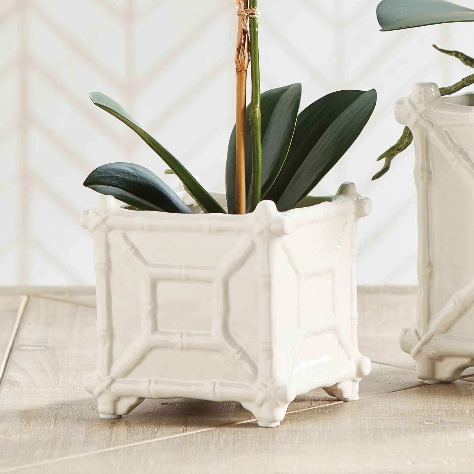 Chinoiserie Cachepot Planter Small - Flair Flower Bar & Studio