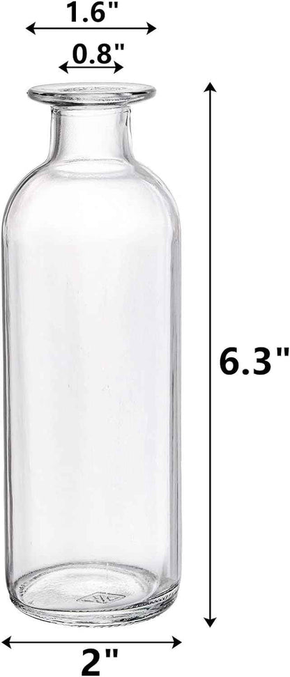 Clear Glass Budvase