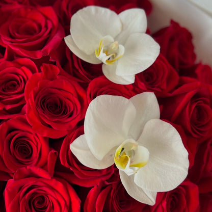White orchids among red roses