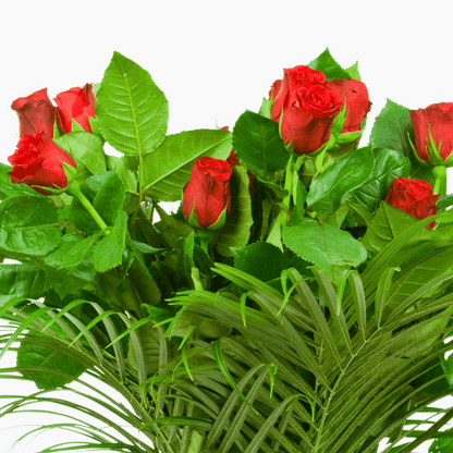 Dozen Rose Vase Arrangement - Flair Flower Bar & Studio