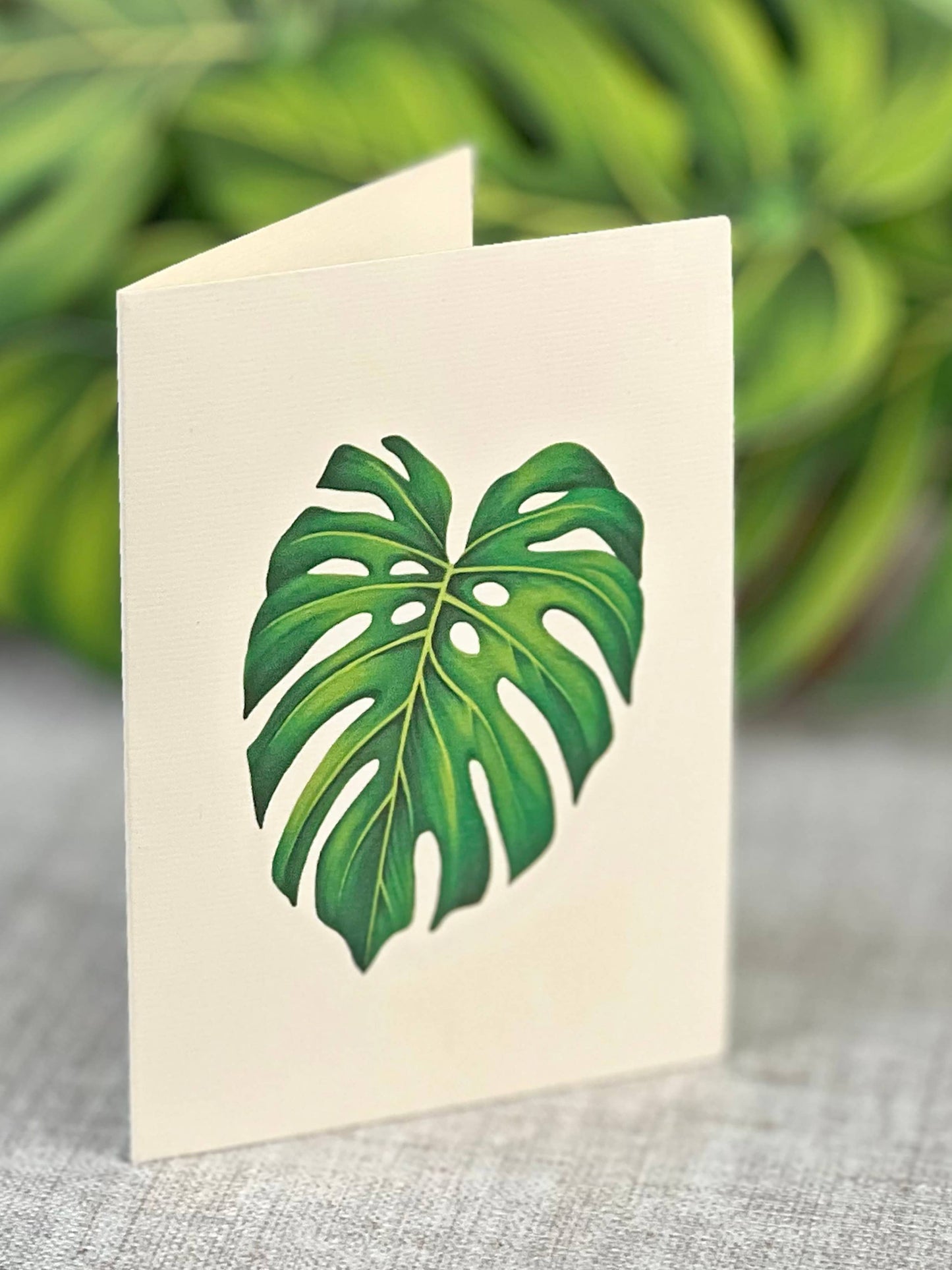 Monstera Plant Greeting Card by FreshCut Paper LLC