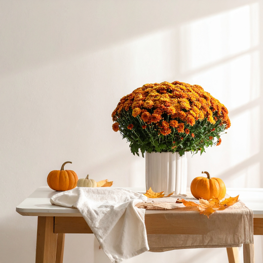 Fall potted mum on a table with pumpkins and leaves.