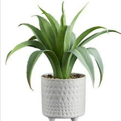 Faux Tropical Plant in Cement Planter Pot - Flair Flower Bar & Studio