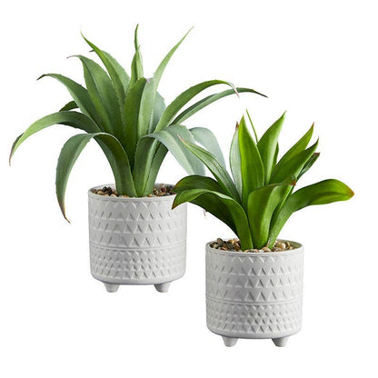 Faux Tropical Plant in Cement Planter Pot - Flair Flower Bar & Studio