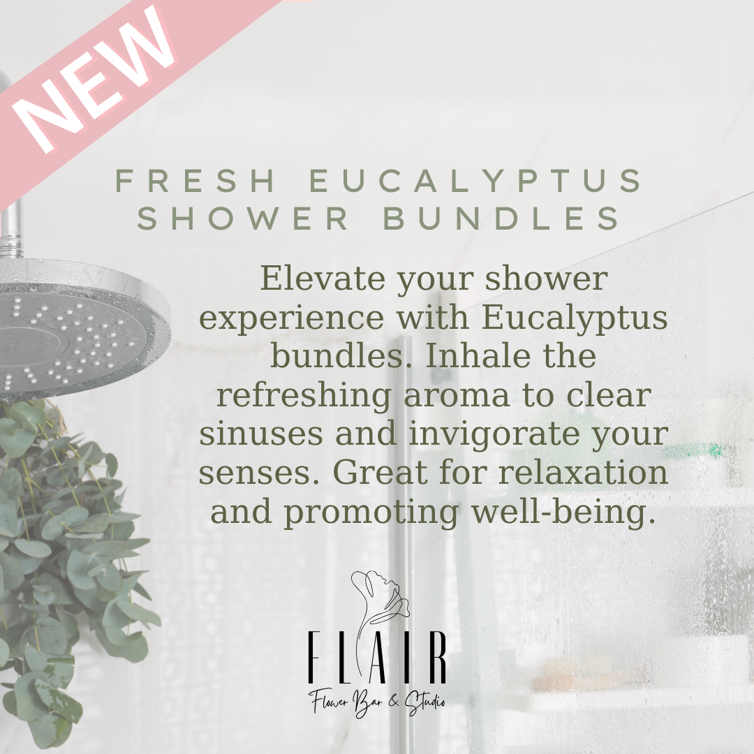 Fresh Eucalyptus Shower Bundle