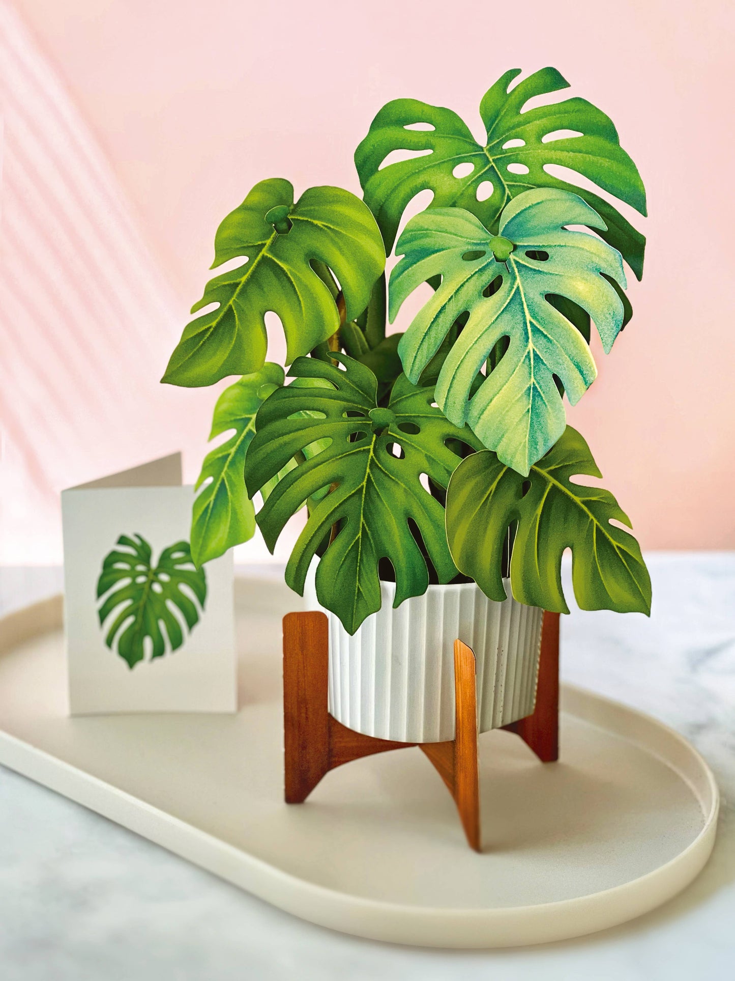 Monstera Plant Greeting Card by FreshCut Paper LLC