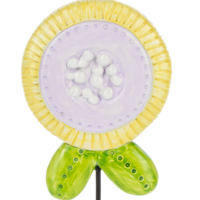 Flower Garden Plant Picks
