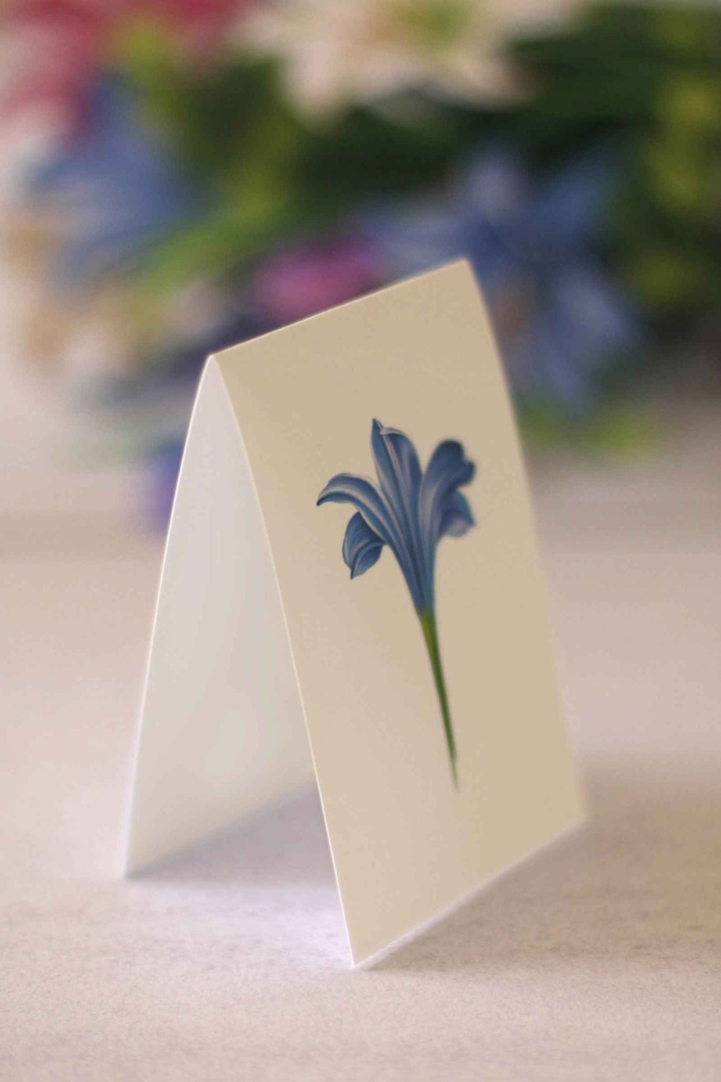 Lilies & Lupines by FreshCut Paper LLC