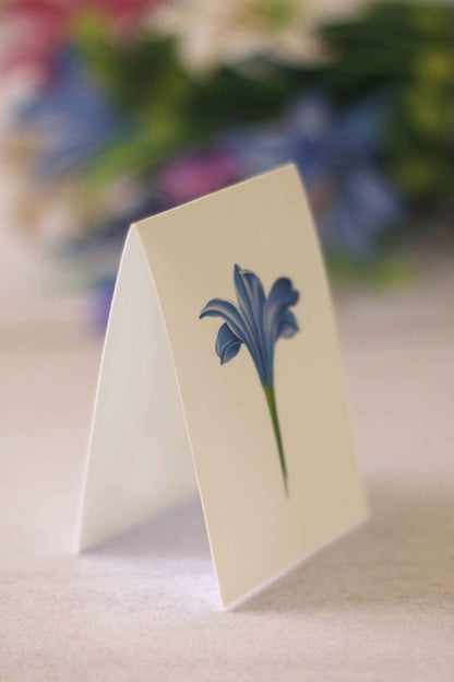 Lilies & Lupines by FreshCut Paper LLC