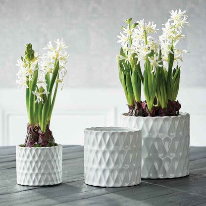 Loopy Pots