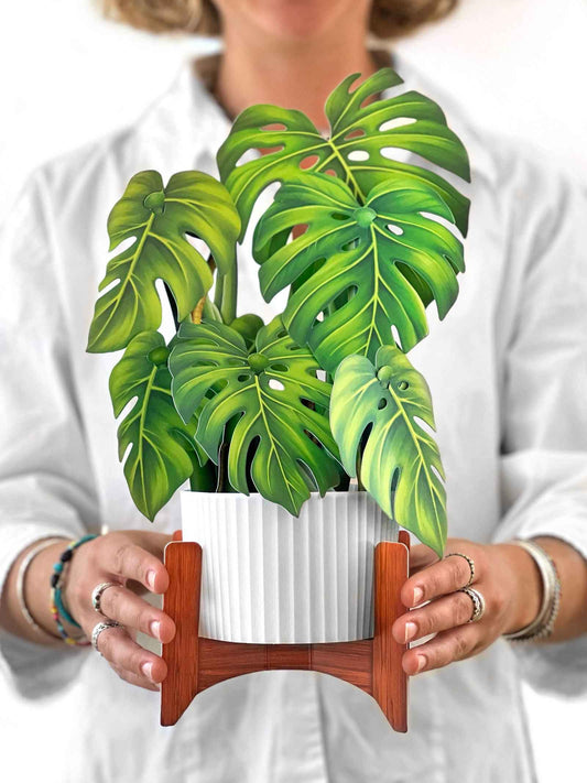 Monstera Plant Greeting Card by FreshCut Paper LLC - Flair Flower Bar & Studio