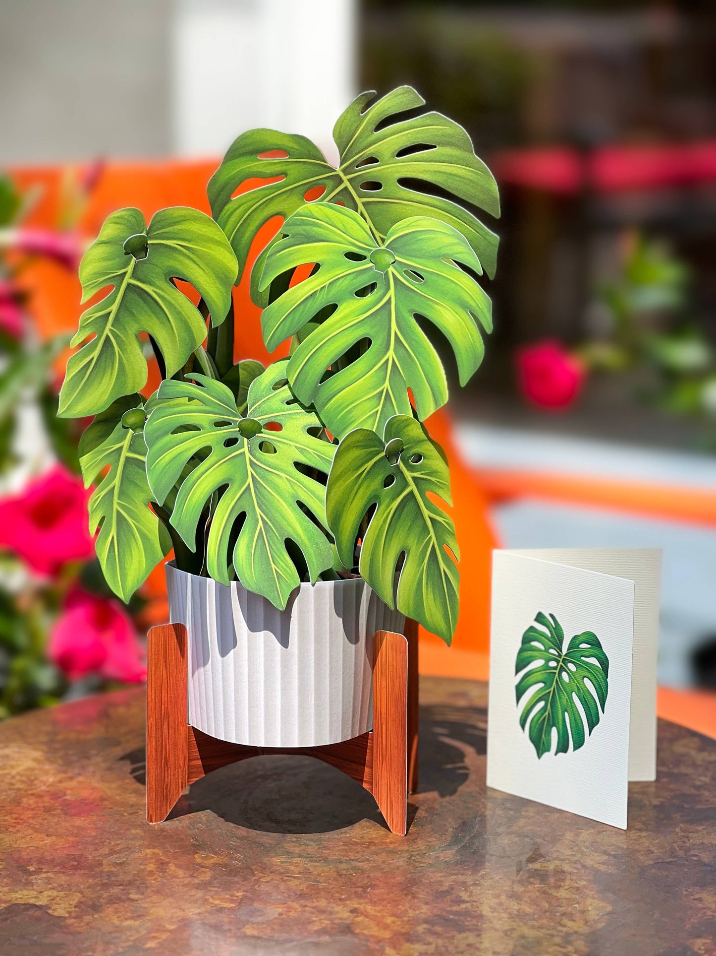 Monstera Plant Greeting Card by FreshCut Paper LLC