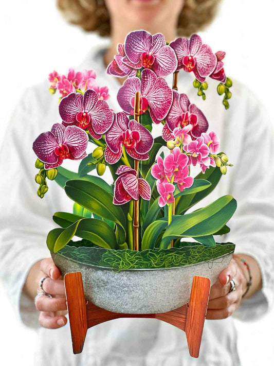 Orchid Oasis Greeting Card by FreshCut Paper LLC - Flair Flower Bar & Studio