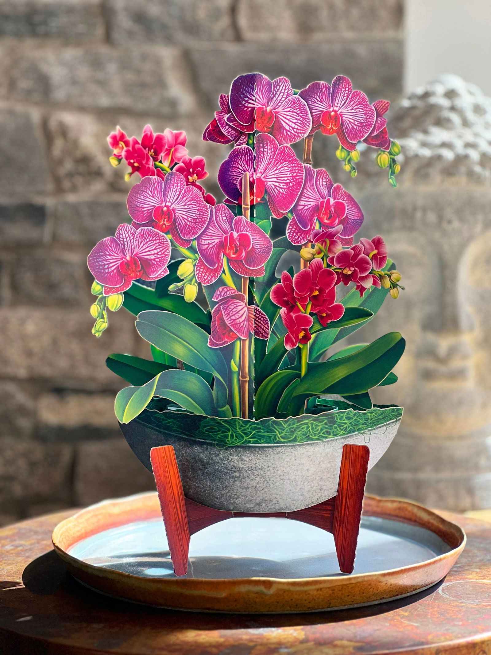 Orchid Oasis Greeting Card by FreshCut Paper LLC