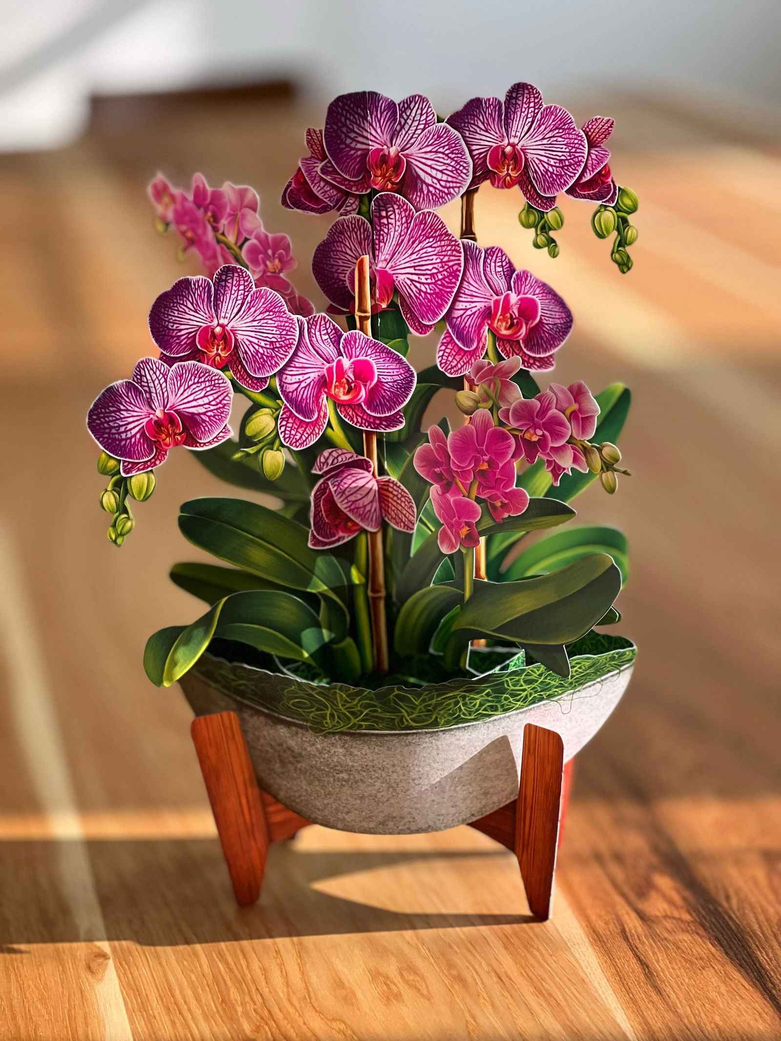Orchid Oasis Greeting Card by FreshCut Paper LLC