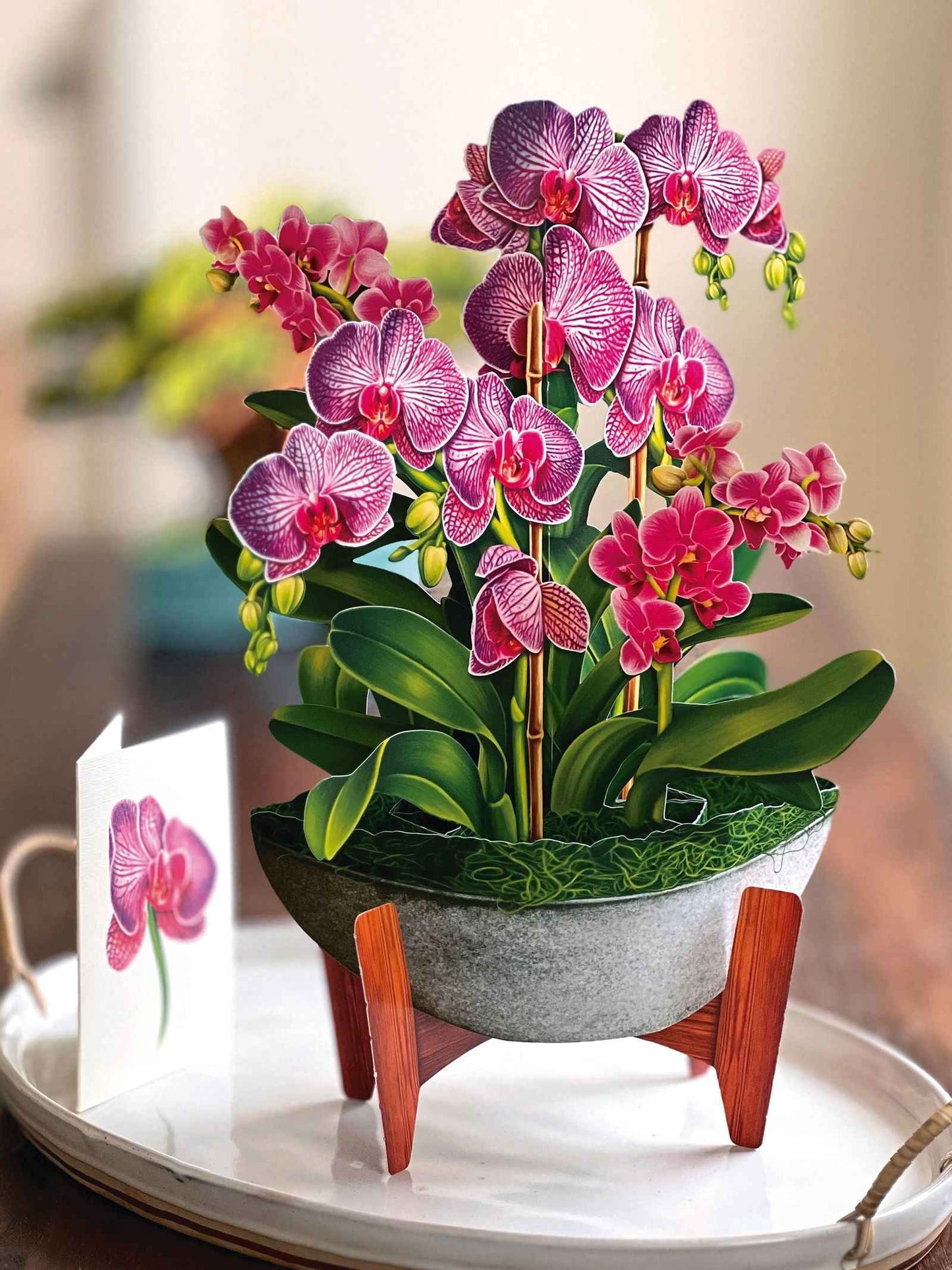 Orchid Oasis Greeting Card by FreshCut Paper LLC