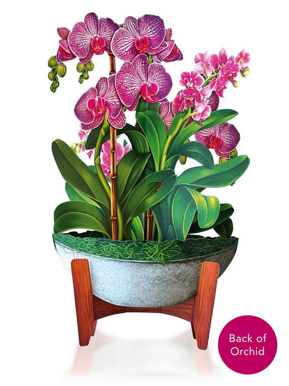 Orchid Oasis Greeting Card by FreshCut Paper LLC